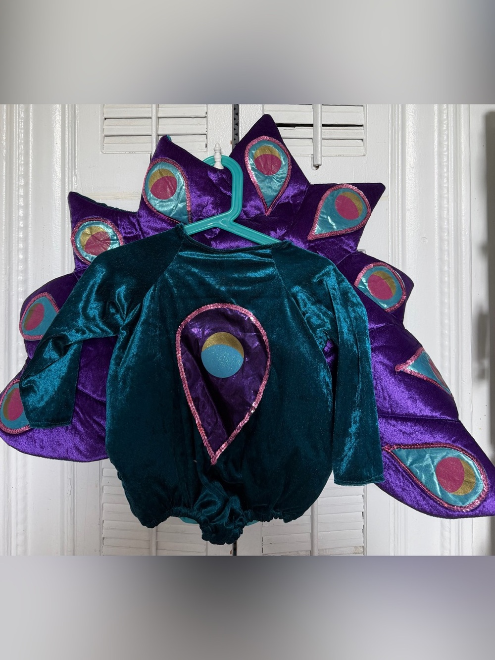 Toddler peacock Halloween costume 12-18
Months